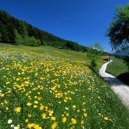 Apart- Gletscherglueck Appartamento Telfes im Stubai