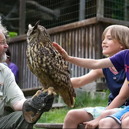 Apart- Gletscherglueck Διαμέρισμα