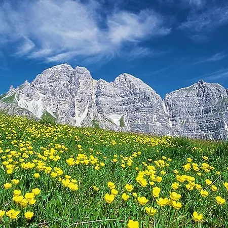 Apart- Gletscherglueck