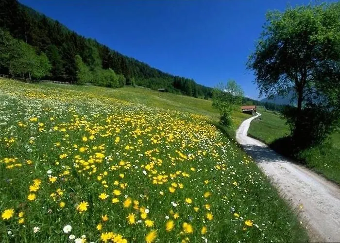 Apart- Gletscherglueck Apartament Telfes im Stubai